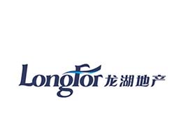龙湖地产公司