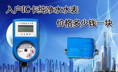 入户IC卡纯净水水表价格多少钱一块