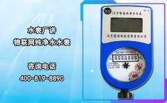 水表厂讲物联网纯净水水表